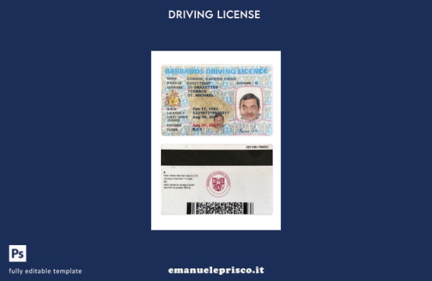verified style modello di patente di guida delle Barbados in stile verificato template
